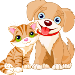 petlover001