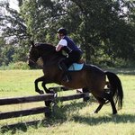 deputyfirewife