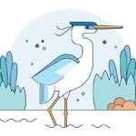 Egret68 Egret68