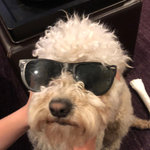 Furbydoggo
