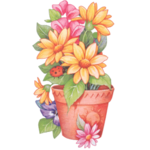 MissFlowerTulip MissFlowerTulip
