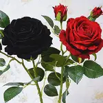 Black_Rose63