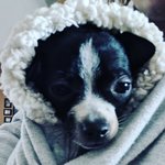HowDoINo25473