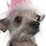TickledPink TickledPink