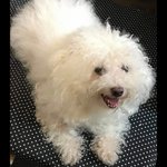 Eillas Eillas