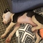 randomusername132 randomusername132