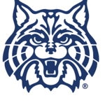 Wildcat Wildcat