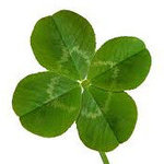 CloverMoon CloverMoon