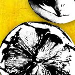 burnt_lemons