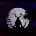 luciddreamer luciddreamer