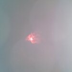embarelylitoct16