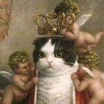 LiterallyYourCat