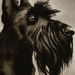 Babette1