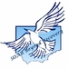 soar1