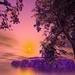 calmness calmness