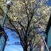 grainbrain11