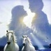 Whitehorses Whitehorses