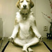 ZenMaster01