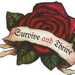 RosesAreRising RosesAreRising