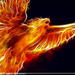 phoenixup phoenixup