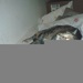 lovebaby8 lovebaby8