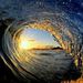 surfvivor surfvivor