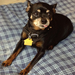 tootsiesmom