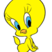 SammySandi