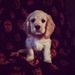 nebraskagirl79