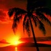 sunset33