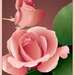 nancy71611 nancy71611