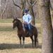 RidingTall