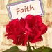 FaithFlower FaithFlower