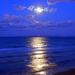 bluemoonlight