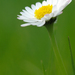 PrayingForEnergy