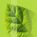 GreenGirl27