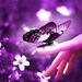 SpiritualButterfly