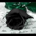 blackrose1985