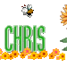 chrissym59 chrissym59