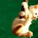 hanginthere10 hanginthere10