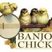 Banjochick Banjochick