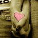 StuArmy