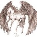 Pegasus678 Pegasus678