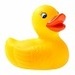 DuckieDelight