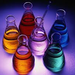 chemnut