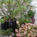 jenniflower73 jenniflower73