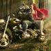 thumper1