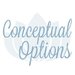 conceptualoptions