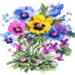 Daisymay2 Daisymay2