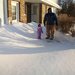 icewolf6